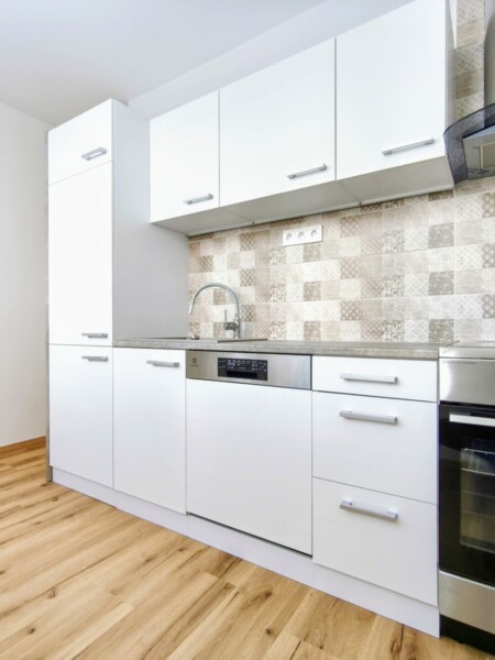 Byt 1+1 36 m², Frýdek-Místek — Makléř z hor