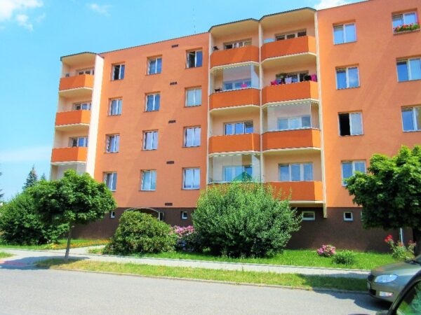 Byt 1+1, Bezručova — Makléř z hor