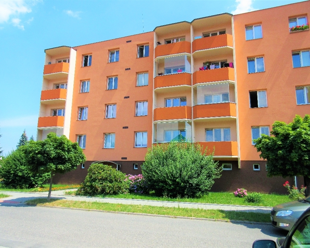 Byt 1+1, Bezručova — Makléř z hor