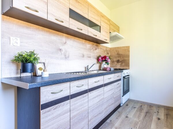 Byt 1+1 Horní — Makléř z hor