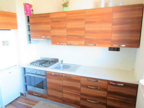 Byt 1+1, Vdovská — Makléř z hor