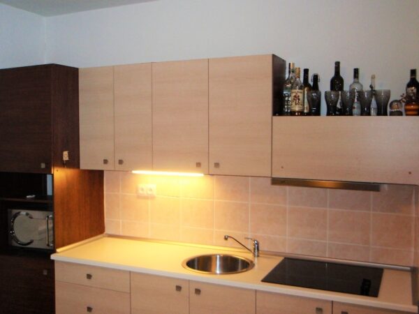 Byt 1+kk, J. E. Purkyně — Makléř z hor