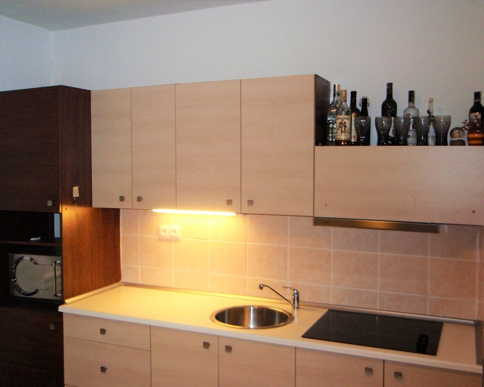 Byt 1+kk, J. E. Purkyně — Makléř z hor