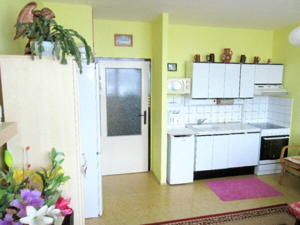 Byt 1+kk, Na Pastvisku — Makléř z hor