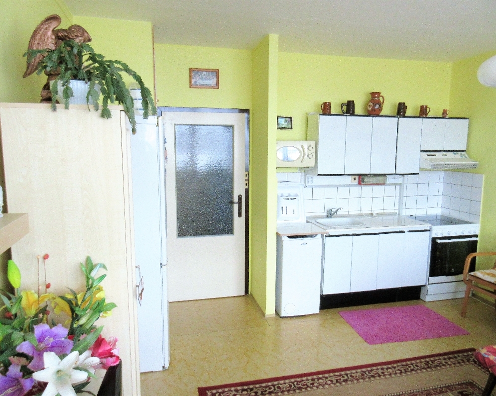 Byt 1+kk, Na Pastvisku — Makléř z hor