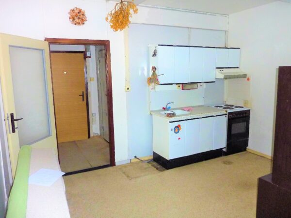 Byt 1+kk, Novodvorská — Makléř z hor