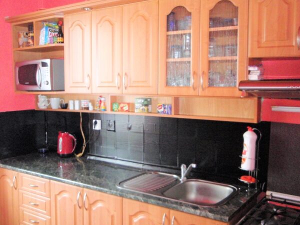 Byt 2+1, J. E. Purkyně — Makléř z hor