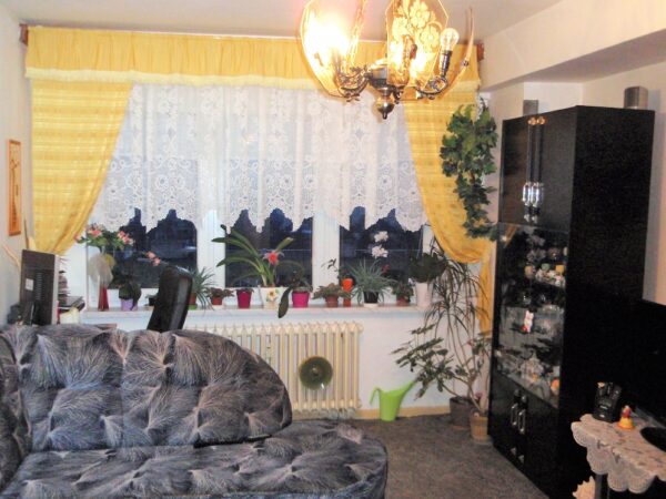 Byt 2+1, Jaroslava Lohrela — Makléř z hor