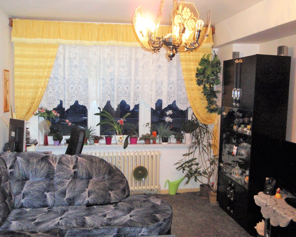 Byt 2+1, Jaroslava Lohrela — Makléř z hor