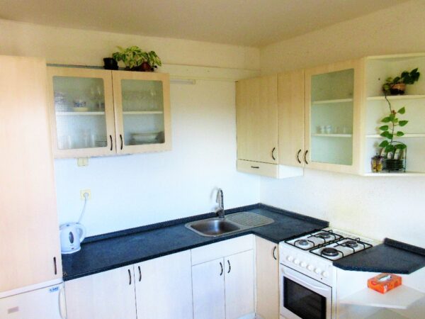 Byt 2+1, Novodvorská — Makléř z hor