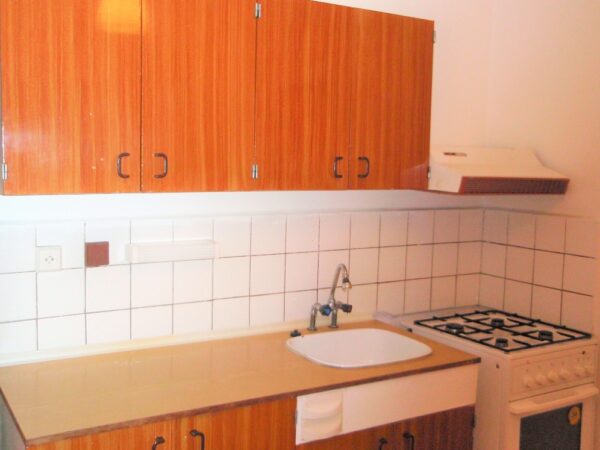 Byt 2+1, Revoluční — Makléř z hor