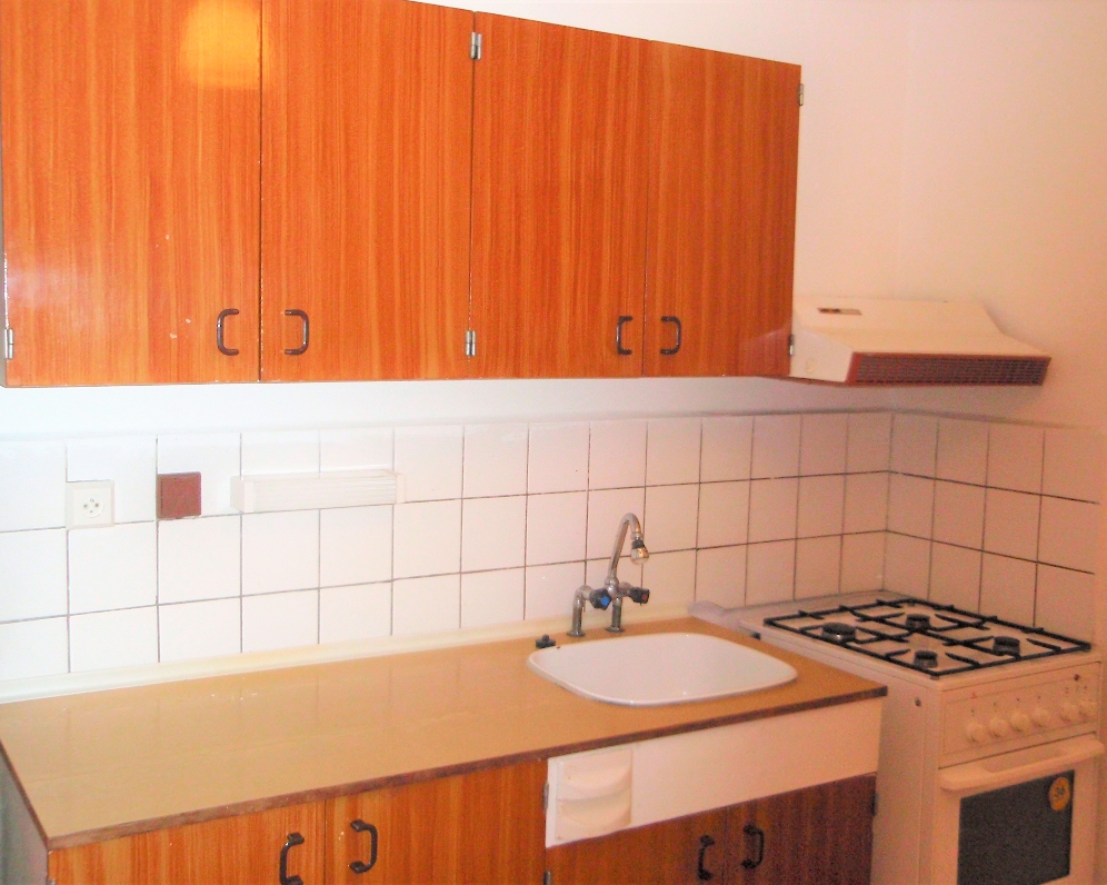 Byt 2+1, Revoluční — Makléř z hor