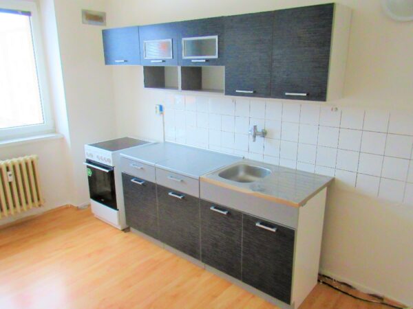 Byt 2+1, Svatopluka Čecha — Makléř z hor