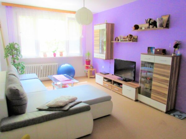 Byt 2+1, Václava Talicha — Makléř z hor