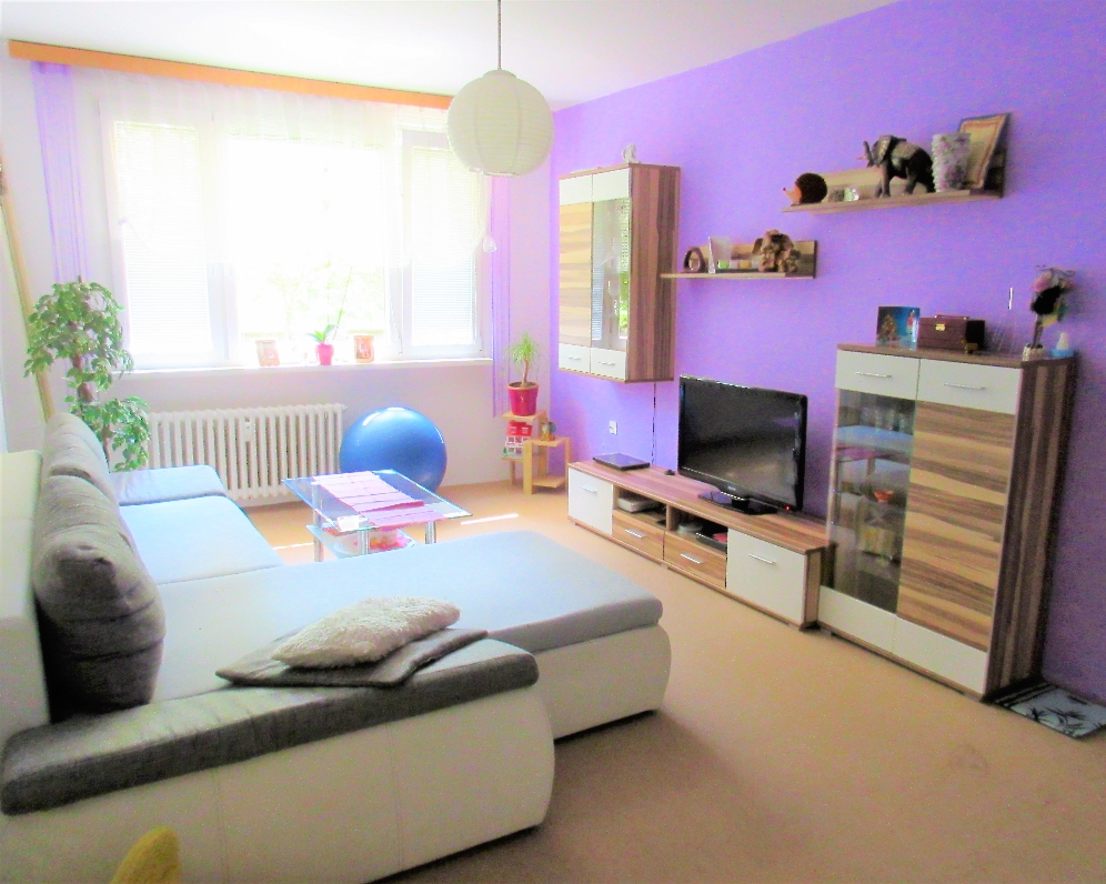 Byt 2+1, Václava Talicha — Makléř z hor