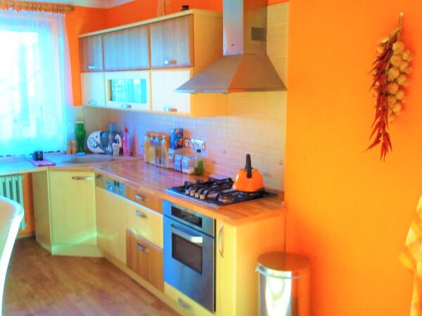 Byt 2+1, Vrchlického — Makléř z hor