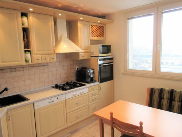 Byt 3+1, 17. listopadu — Makléř z hor