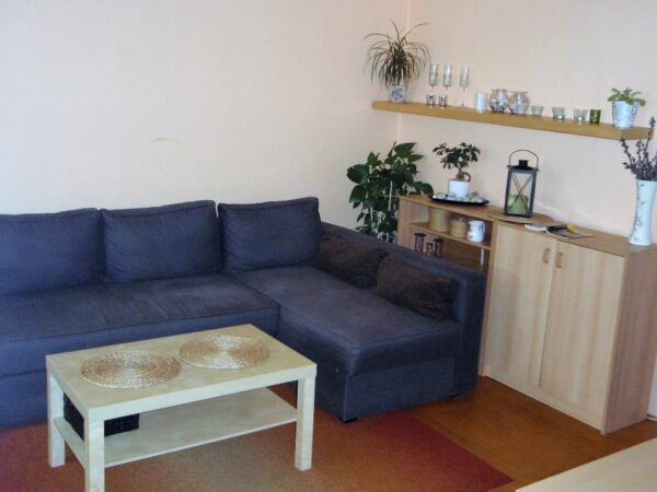 Byt 3+1, Ahepjukova — Makléř z hor