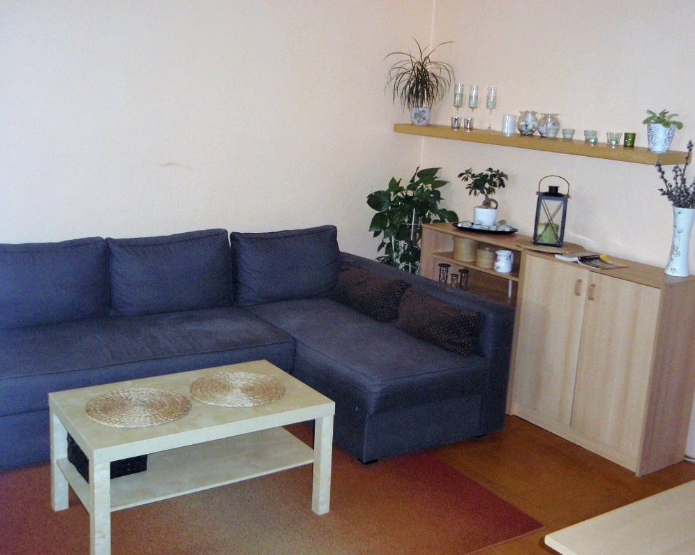 Byt 3+1, Ahepjukova — Makléř z hor