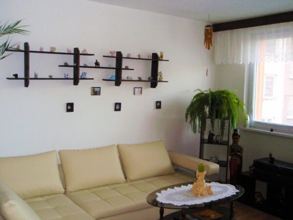 Byt 3+1, J. Božona — Makléř z hor