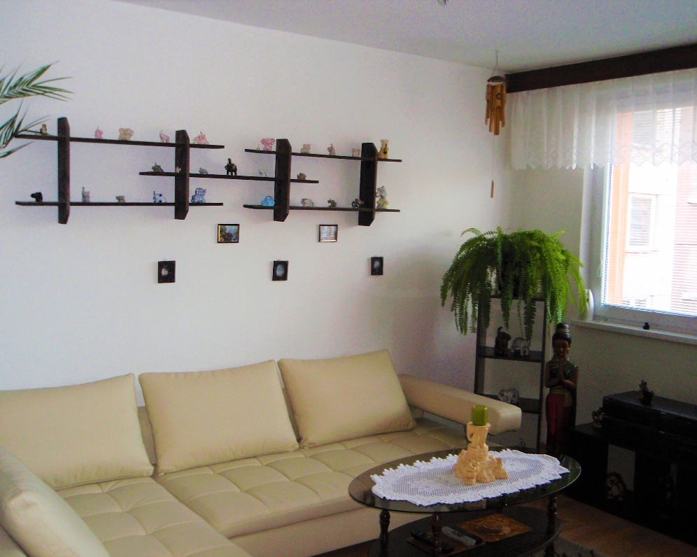 Byt 3+1, J. Božona — Makléř z hor