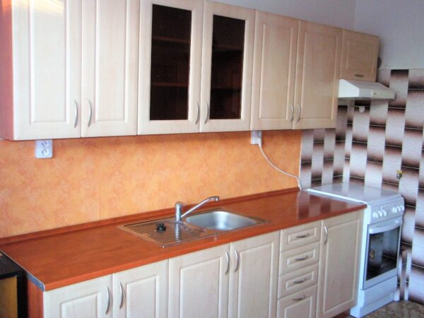 Byt 3+1, Jana Čapka — Makléř z hor