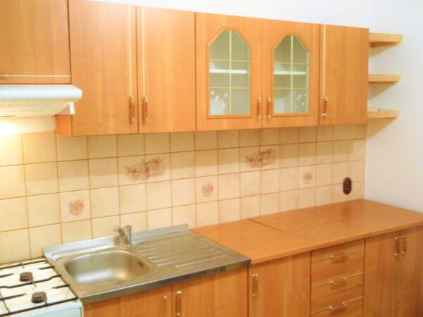 Byt 3+1, Tolstého — Makléř z hor