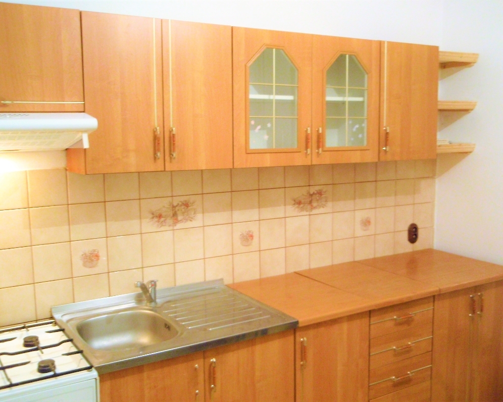 Byt 3+1, Tolstého — Makléř z hor