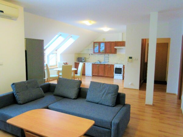 Byt 3+kk, J. V. Sládka — Makléř z hor