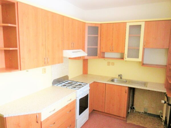 Byt 4+1, Jana Čapka — Makléř z hor