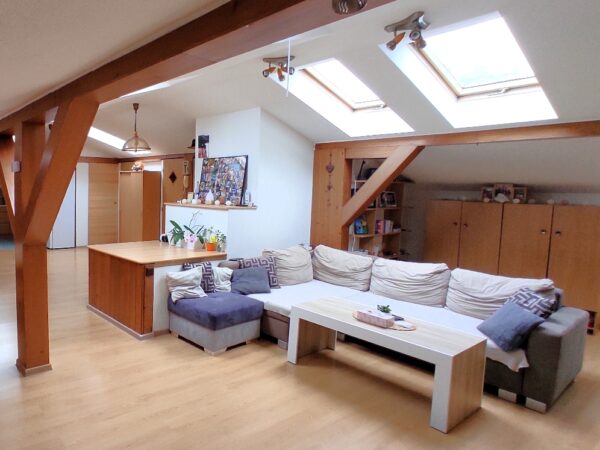 Byt 4+1 Těšínská — Makléř z hor