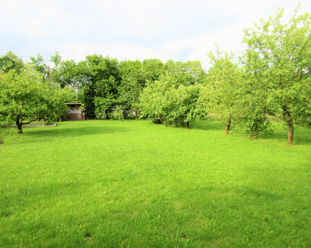 Pozemek — Makléř z hor