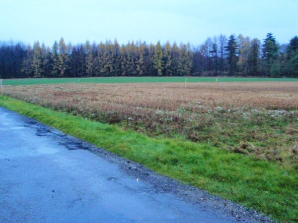 Pozemek — Makléř z hor