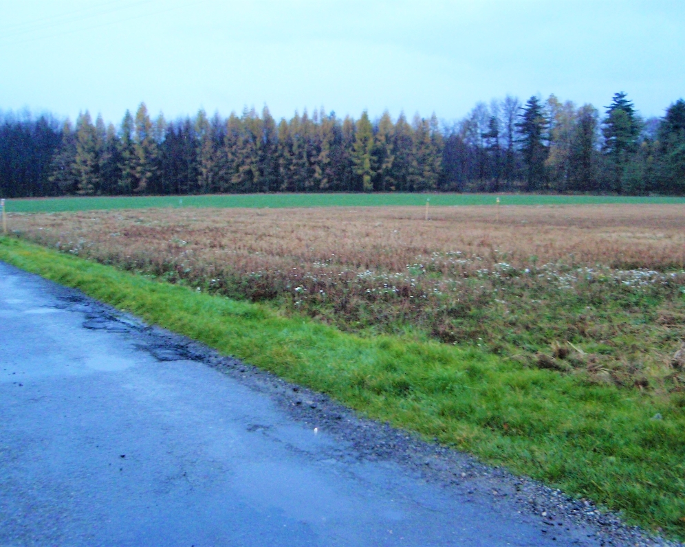 Pozemek — Makléř z hor