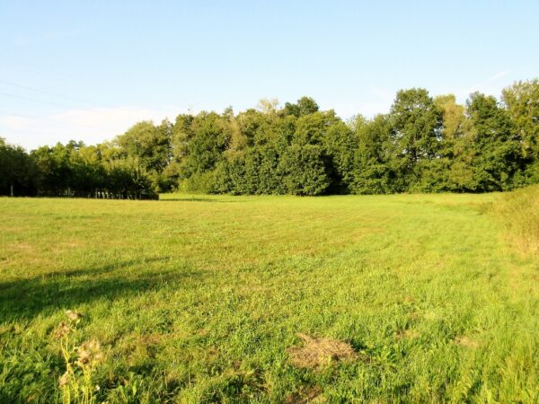 Pozemek — Makléř z hor