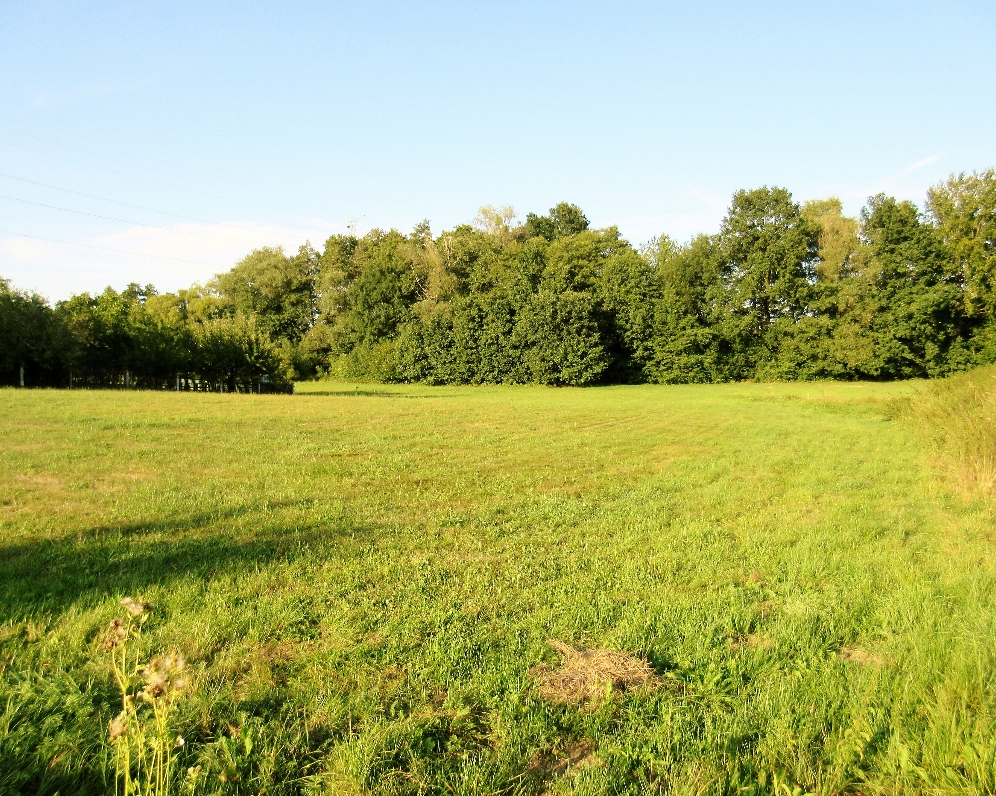 Pozemek — Makléř z hor