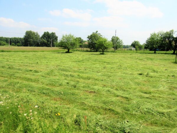 Pozemek — Makléř z hor