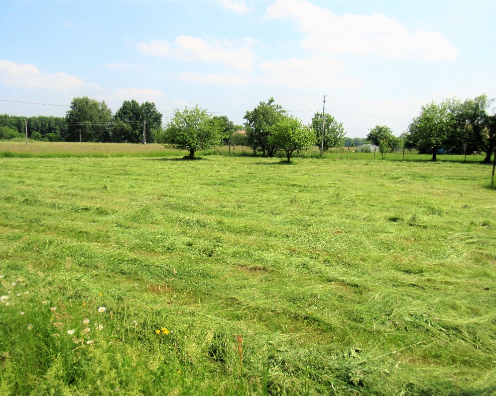 Pozemek — Makléř z hor