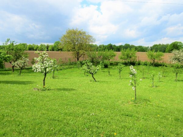 Pozemek — Makléř z hor