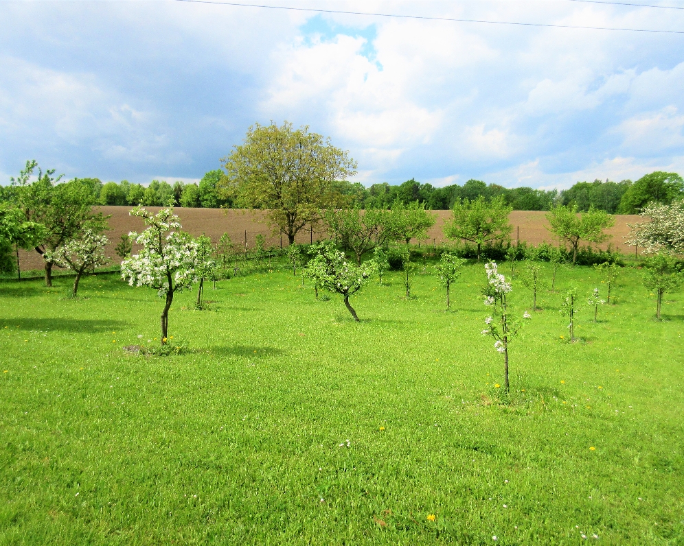 Pozemek — Makléř z hor